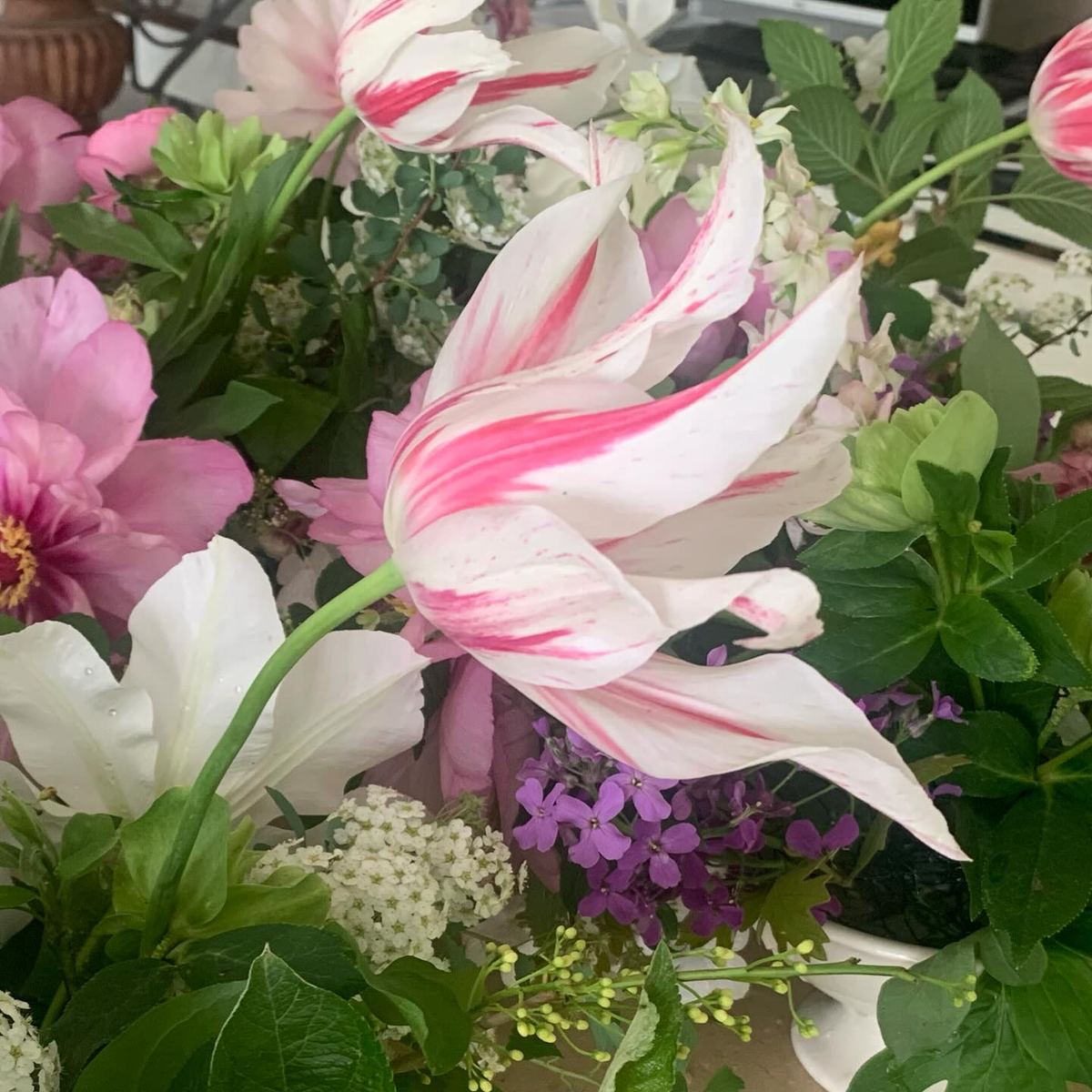 Pink and white lilies in a vase